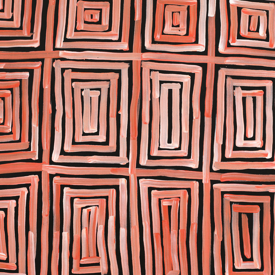 Aboriginal Artwork by Carol Young, Walka Wiru Ngura Wiru, 101x76cm