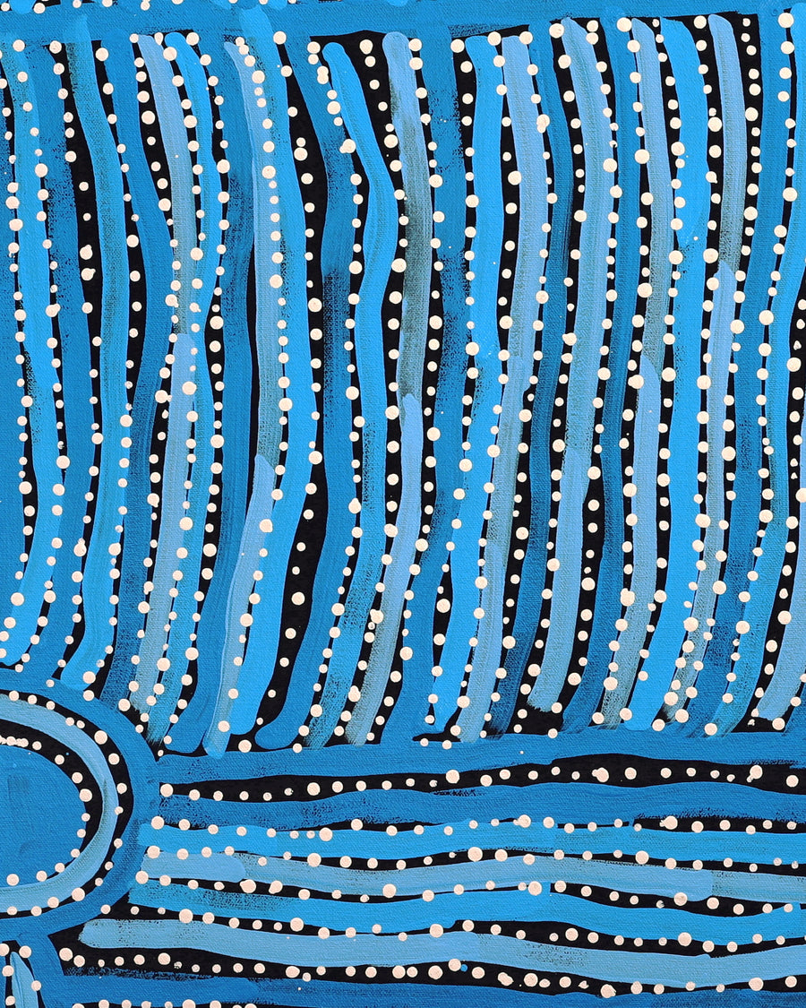 Aboriginal Artwork by Carol Young, Walka Wiru Ngura Wiru, 102x77cm