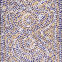 Aboriginal Artwork by Caroline Nakamarra Gibson, Ngapa Jukurrpa (Water Dreaming) - Wapurtali, 76x30cm
