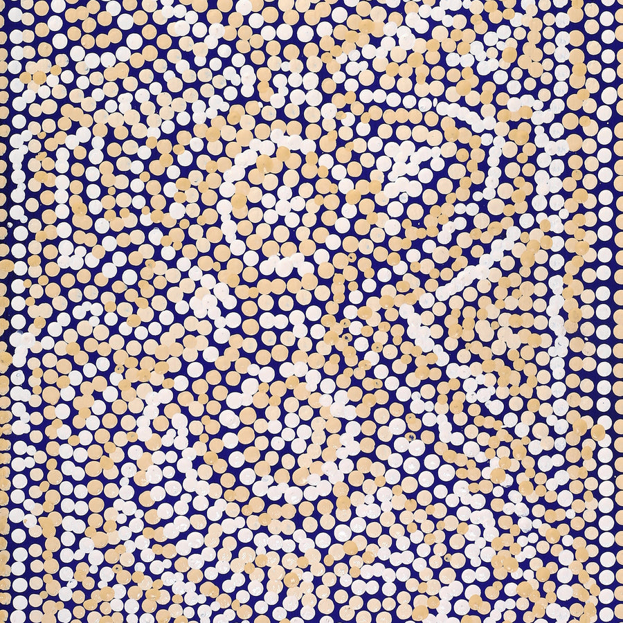 Aboriginal Artwork by Caroline Nakamarra Gibson, Ngapa Jukurrpa (Water Dreaming) - Wapurtali, 76x30cm
