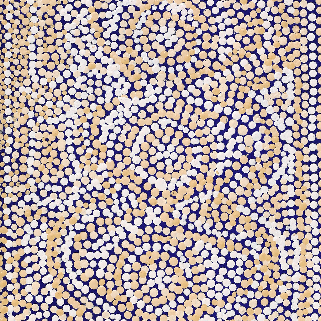 Aboriginal Artwork by Caroline Nakamarra Gibson, Ngapa Jukurrpa (Water Dreaming) - Wapurtali, 76x30cm