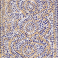 Aboriginal Artwork by Caroline Nakamarra Gibson, Ngapa Jukurrpa (Water Dreaming) - Wapurtali, 76x30cm