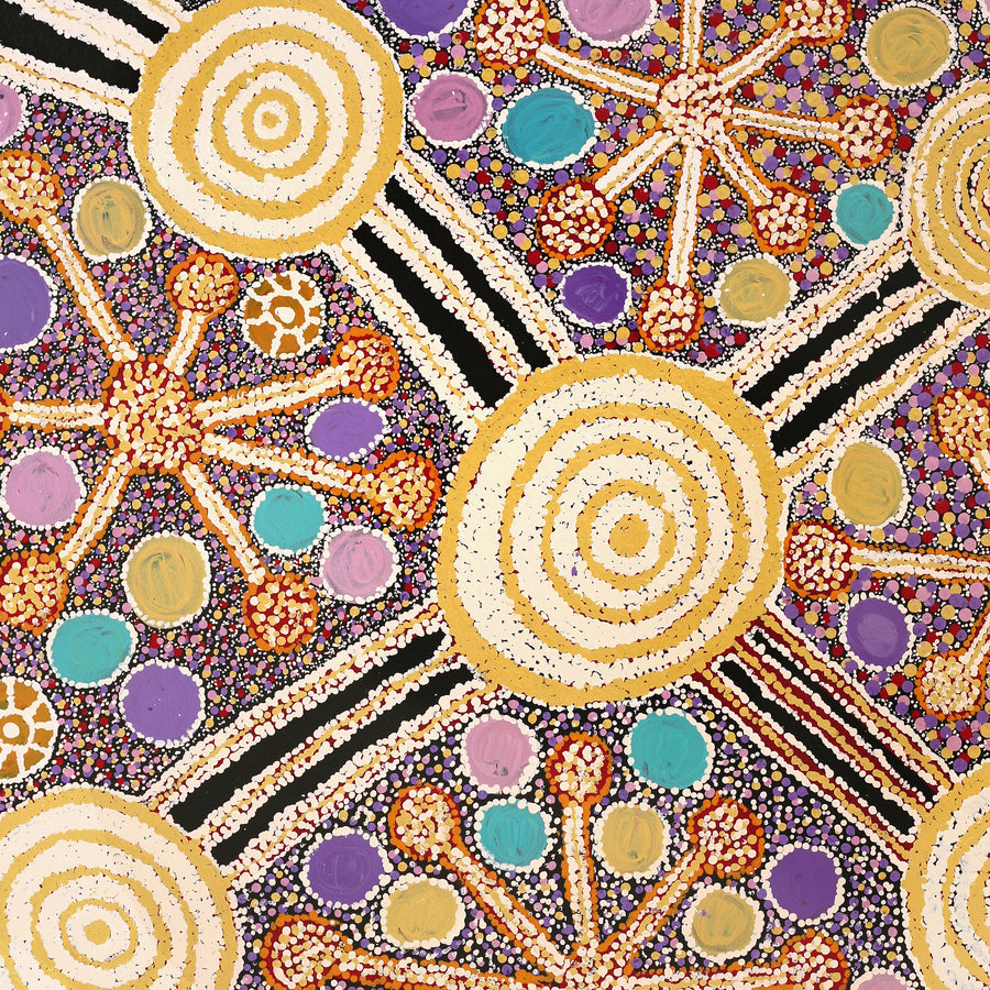 Aboriginal Artwork by Carolyn Dunn, Piltati Tjukurpa, 122x91cm