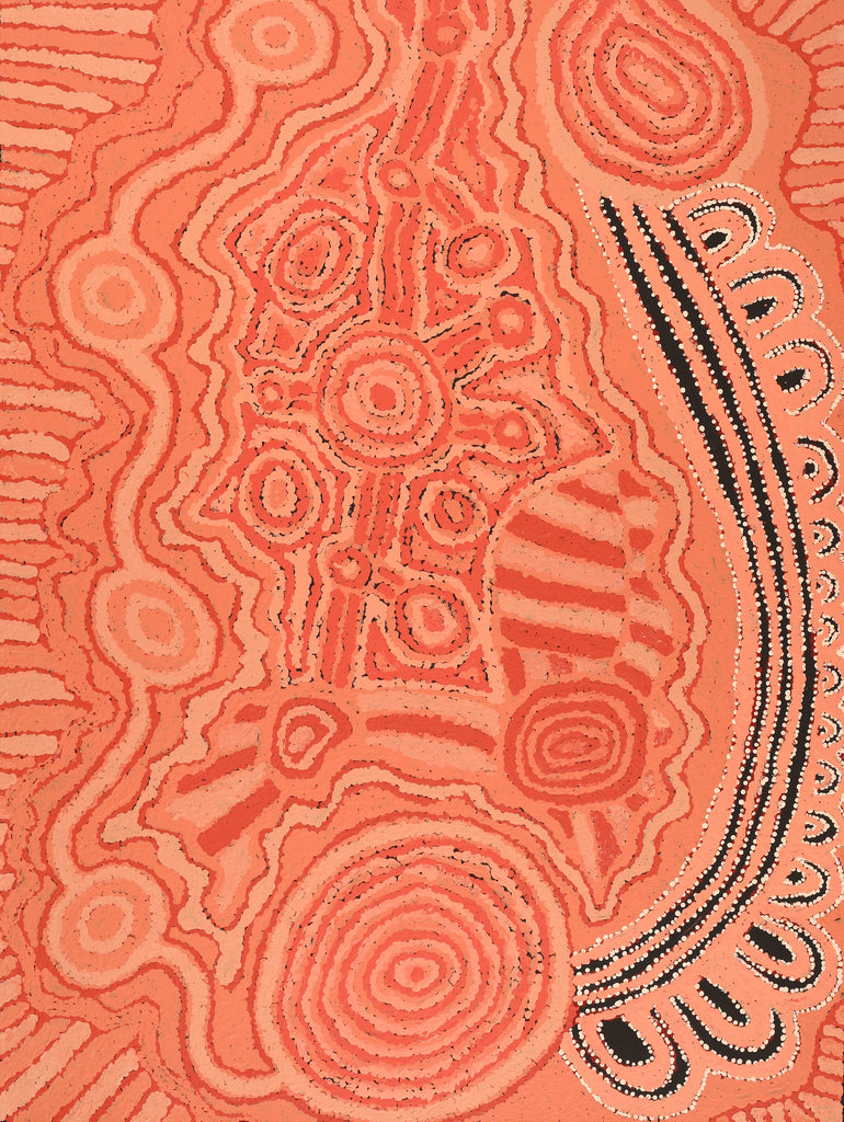 Aboriginal Artwork by Carolyn Dunn, Piltati Tjukurpa, 101x76cm