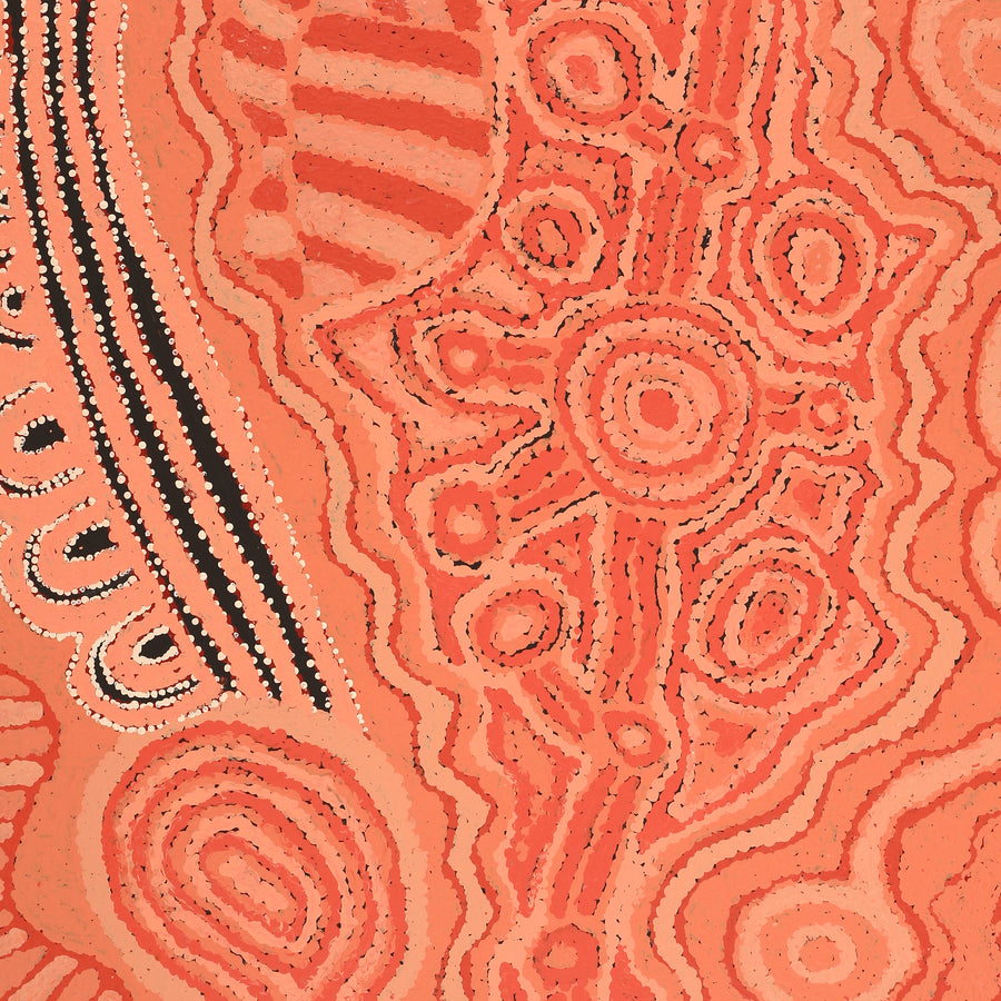 Aboriginal Artwork by Carolyn Dunn, Piltati Tjukurpa, 101x76cm