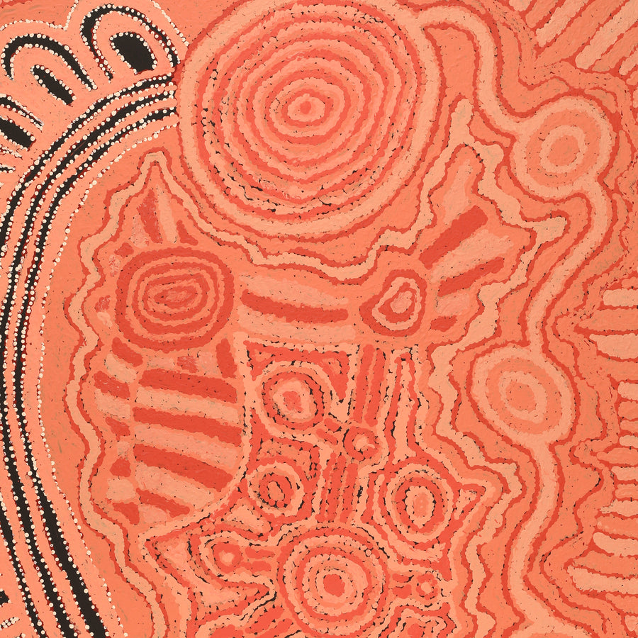 Aboriginal Artwork by Carolyn Dunn, Piltati Tjukurpa, 101x76cm