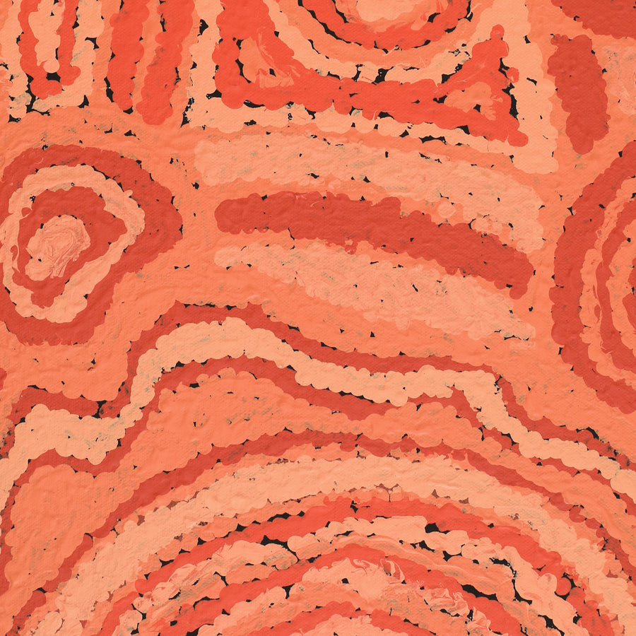 Aboriginal Artwork by Carolyn Dunn, Piltati Tjukurpa, 101x76cm