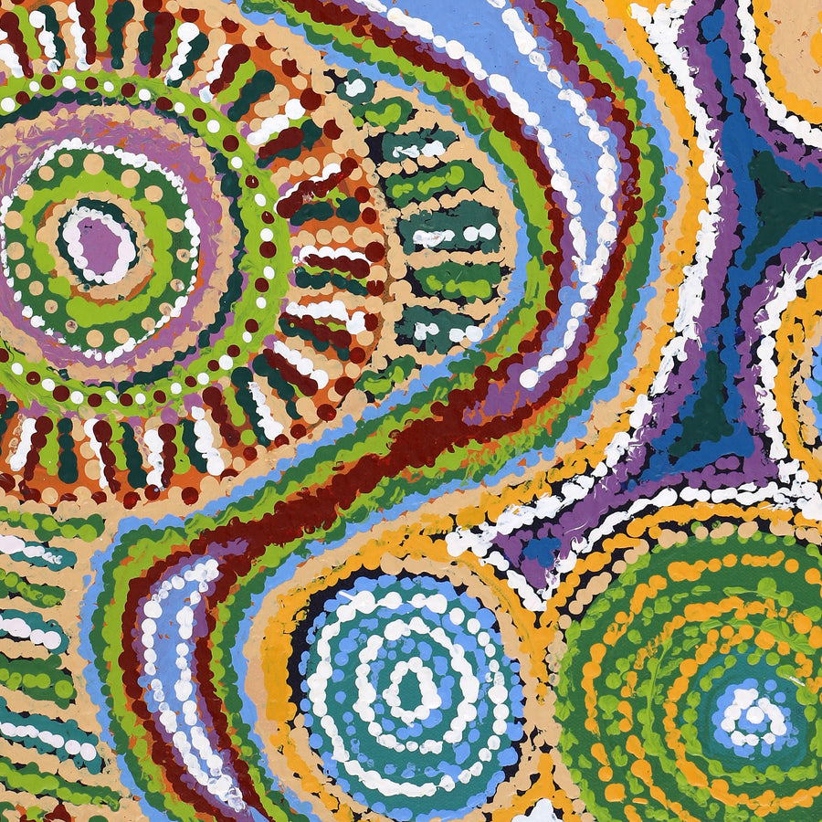 Aboriginal Artwork by Tjaruwa Carolyn Dunn, Piltati Tjukurpa, 122x76cm