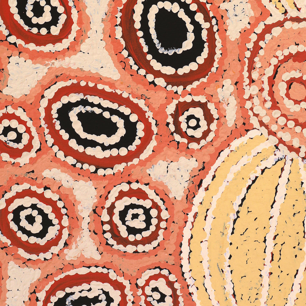 Aboriginal Artwork by Carolyn Dunn, Piltati Tjukurpa, 122x91cm
