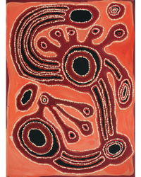 Aboriginal Artwork by Tjaruwa Carolyn Dunn, Piltati Tjukurpa, 81x61cm