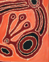 Tjaruwa Carolyn Dunn, Piltati Tjukurpa, 81x61cm