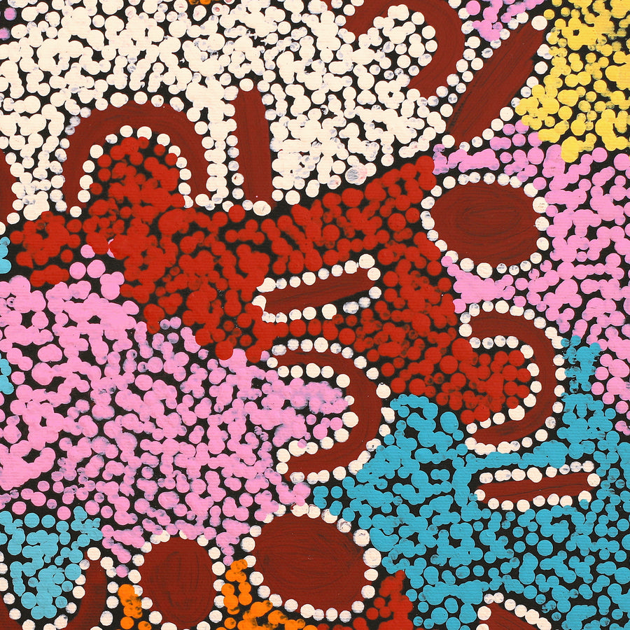 Aboriginal Artwork by Catherine Nungarrayi Malbunka, Mina Mina Dreaming, 40x40cm