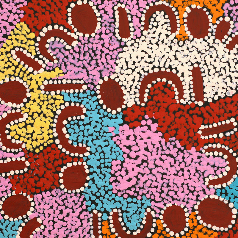 Aboriginal Artwork by Catherine Nungarrayi Malbunka, Mina Mina Dreaming, 40x40cm