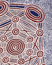 Aboriginal Artwork by Cecily Napanangka Marshall, Pikilyi Jukurrpa (Vaughan Springs Dreaming), 91x46cm