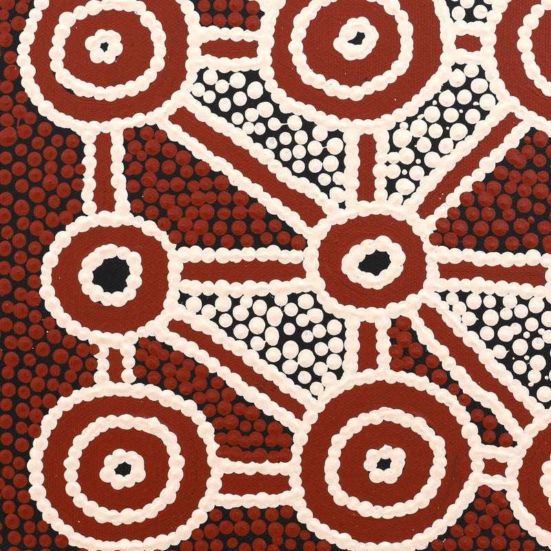 Aboriginal Artwork by Cecily Napanangka Marshall, Pikilyi Jukurrpa (Vaughan Springs Dreaming), 30x30cm
