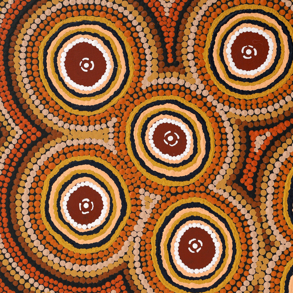 Aboriginal Artwork by Chantelle Napanangka Williams, Yarla Jukurrpa (Bush Potato Dreaming) - Cockatoo Creek, 50x40cm