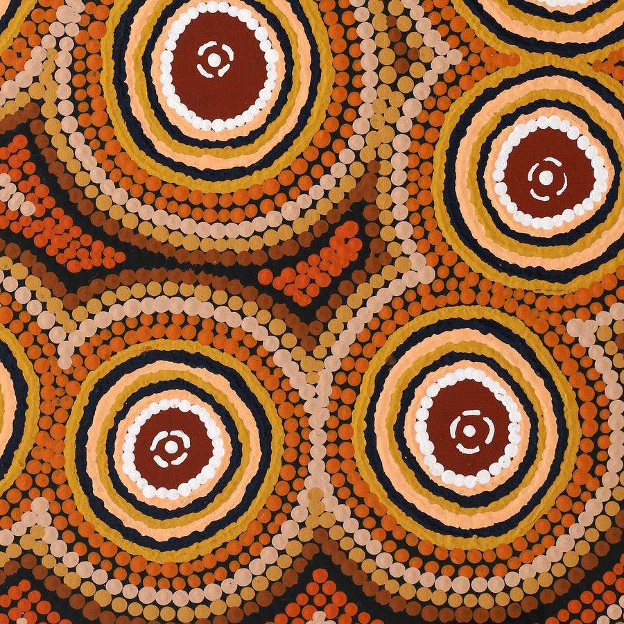 Aboriginal Artwork by Chantelle Napanangka Williams, Yarla Jukurrpa (Bush Potato Dreaming) - Cockatoo Creek, 50x40cm
