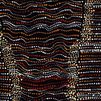 Aboriginal Art by Chantelle Nampijinpa Robertson, Ngapa Jukurrpa (Water Dreaming) - Puyurru, 122x107cm - ART ARK®