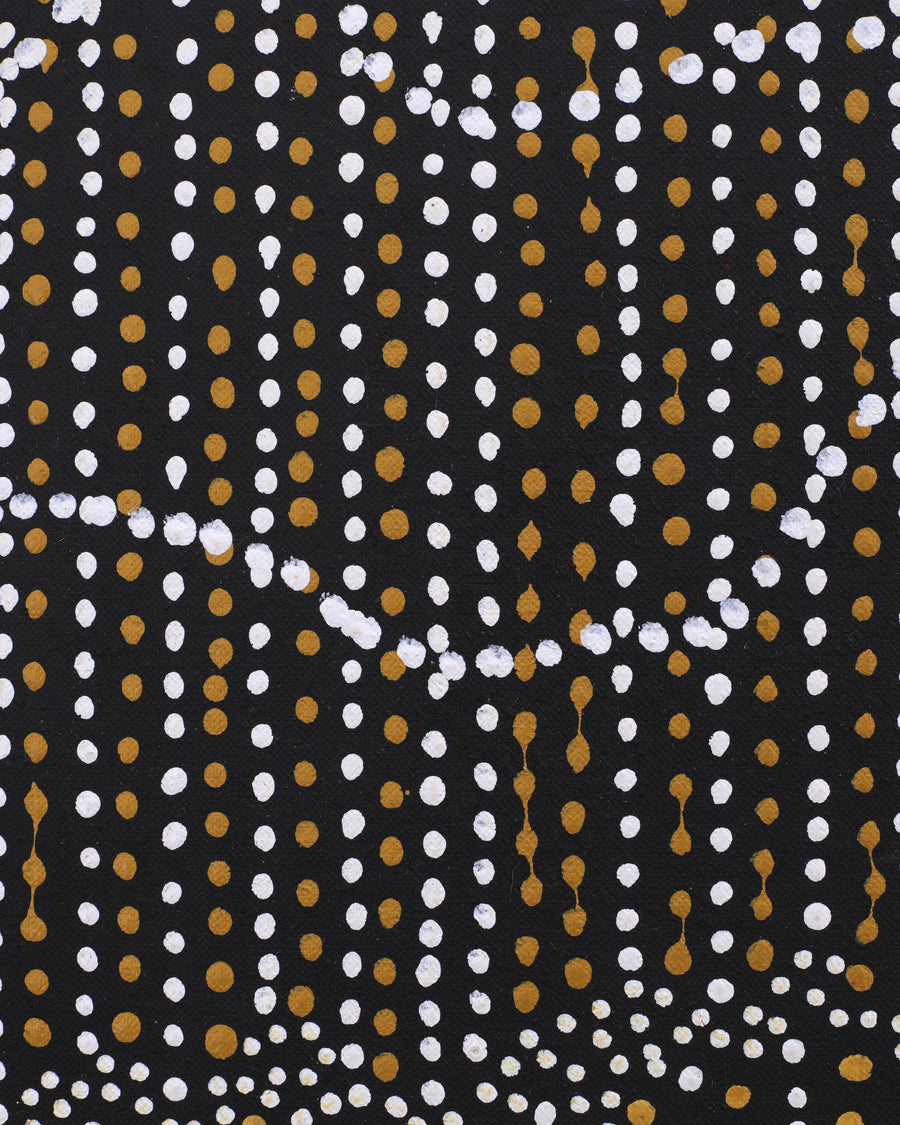 Aboriginal Artwork by Chantelle Nampijinpa Robertson, Ngapa Jukurrpa (Water Dreaming) - Puyurru, 152x122cm