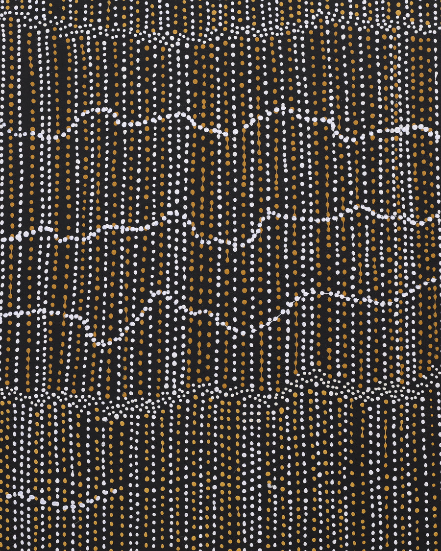 Aboriginal Artwork by Chantelle Nampijinpa Robertson, Ngapa Jukurrpa (Water Dreaming) - Puyurru, 152x122cm