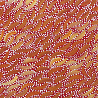 Aboriginal Artwork by Chantelle Nampijinpa Robertson, Ngapa Jukurrpa (Water Dreaming) - Puyurru, 30x30cm
