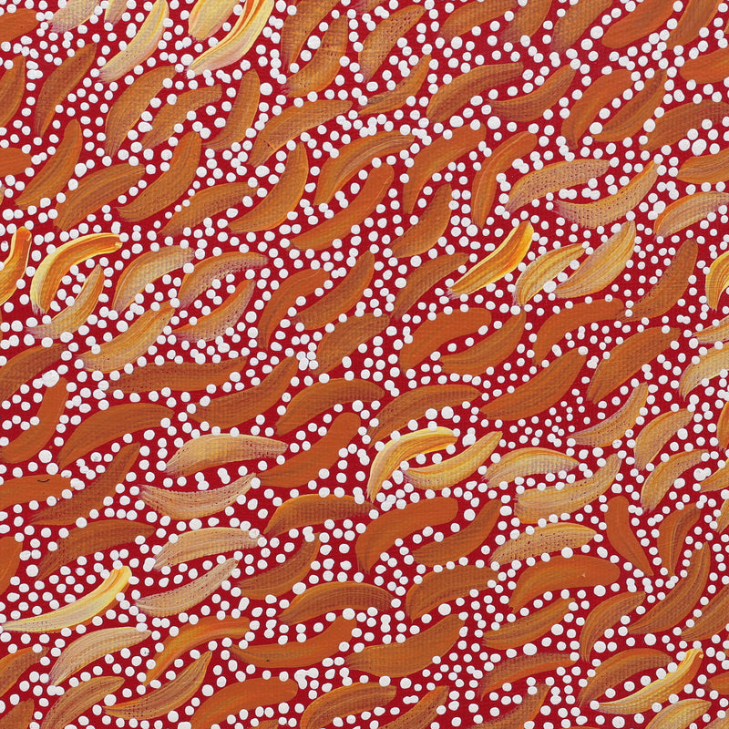 Aboriginal Artwork by Chantelle Nampijinpa Robertson, Ngapa Jukurrpa (Water Dreaming) - Puyurru, 30x30cm