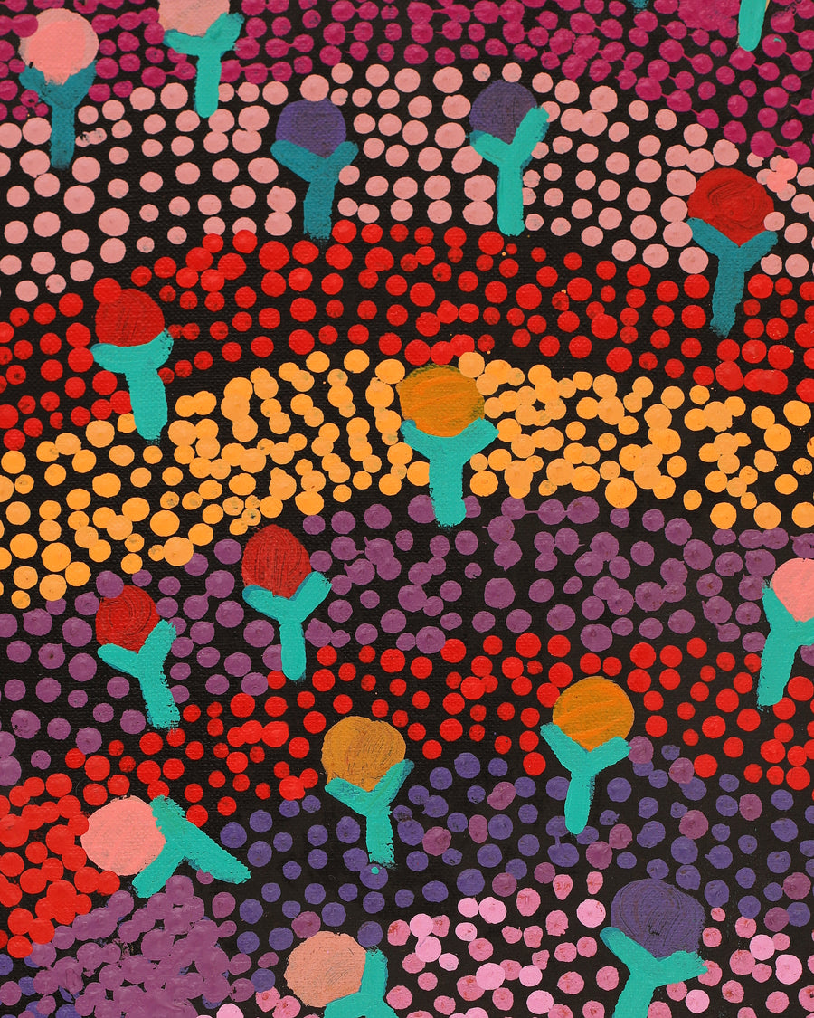 Aboriginal Artwork by Charlene Napanangka Marshall, Wanakiji Jukurrpa (Bush Tomato Dreaming), 107x30cm