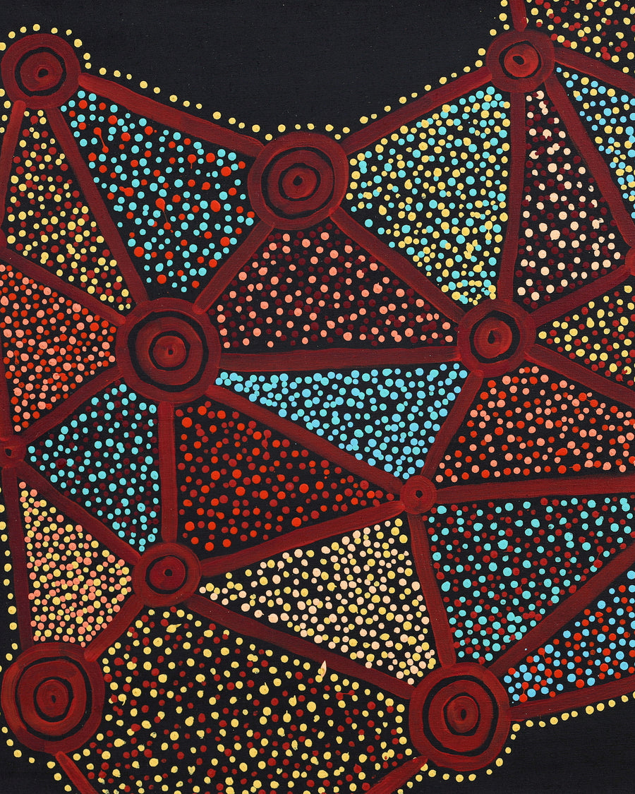Christopher Japangardi Michaels, Ngapa Jukurrpa (Water Dreaming) - Puyurru, 122x61cm