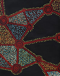 Christopher Japangardi Michaels, Ngapa Jukurrpa (Water Dreaming) - Puyurru, 122x61cm