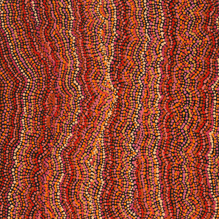 Aboriginal Artwork by Christine Nakamarra Curtis, Mina Mina Jukurrpa, 76x46cm