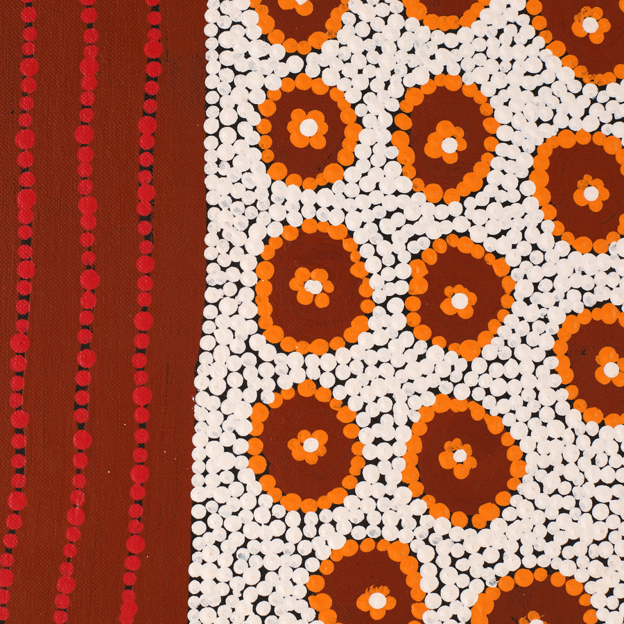 Aboriginal Artwork by Christine Nungarrayi Brown, Karnta Jukurrpa (Womens Dreaming), 107x107cm
