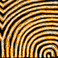 Aboriginal Artwork by Christine Nungarrayi Brown, Karnta Jukurrpa (Womens Dreaming), 152x91cm