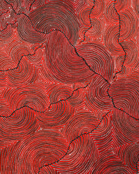 Aboriginal Artwork by Christine Nakamarra Curtis, Mina Mina Jukurrpa, 122x107cm