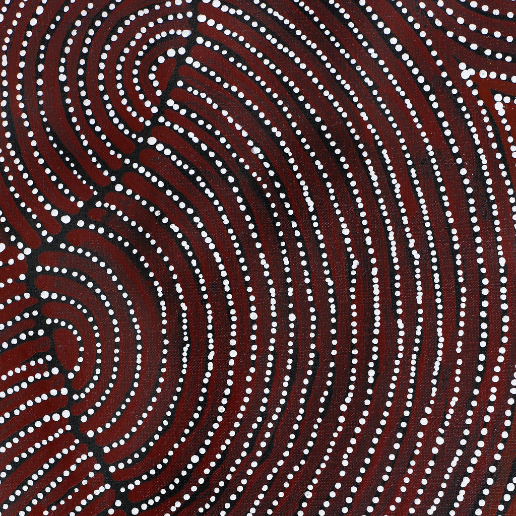 Aboriginal Artwork by Christine Nakamarra Curtis, Mina Mina Jukurrpa, 122x91cm