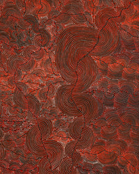 Aboriginal Artwork by Christine Nakamarra Curtis, Mina Mina Jukurrpa, 183x122cm