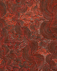 Aboriginal Artwork by Christine Nakamarra Curtis, Mina Mina Jukurrpa, 183x122cm