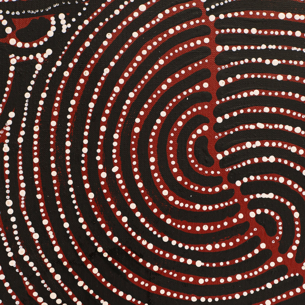 Aboriginal Artwork by Christine Nakamarra Curtis, Mina Mina Jukurrpa, 183x122cm