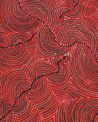 Christine Nakamarra Curtis, Mina Mina Jukurrpa, 61x46cm