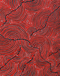 Christine Nakamarra Curtis, Mina Mina Jukurrpa, 61x46cm
