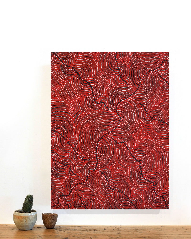 Christine Nakamarra Curtis, Mina Mina Jukurrpa, 61x46cm