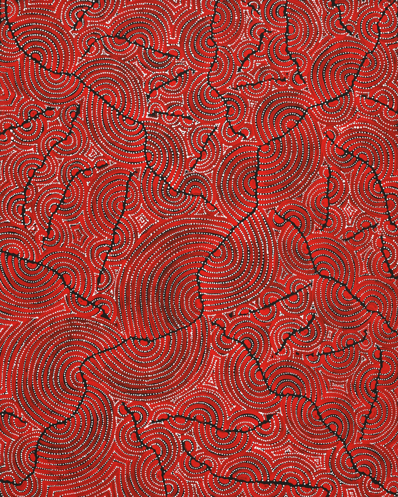 Aboriginal Artwork by Christine Nakamarra Curtis, Mina Mina Jukurrpa, 76x61cm