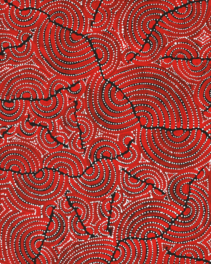 Aboriginal Artwork by Christine Nakamarra Curtis, Mina Mina Jukurrpa, 76x61cm