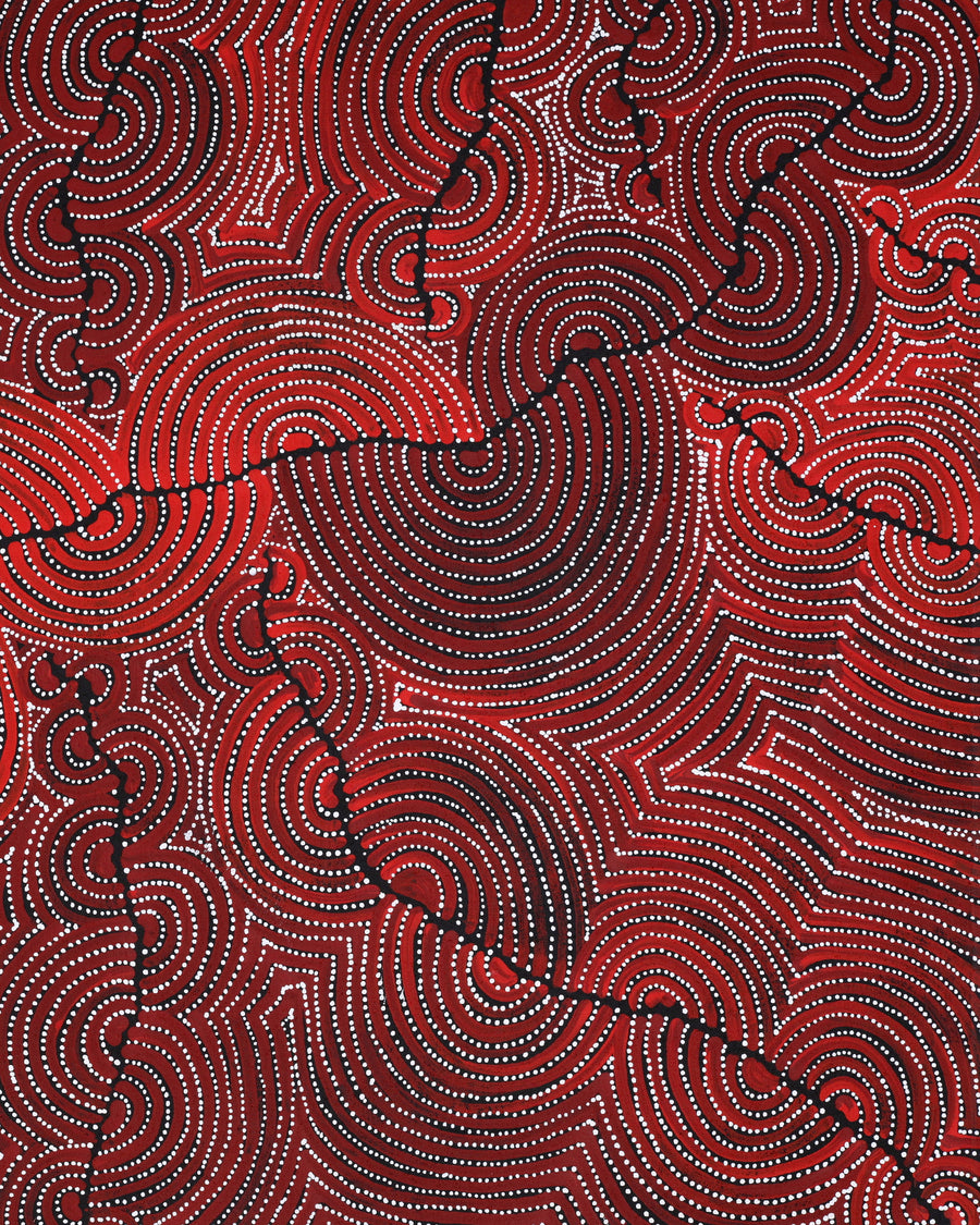 Aboriginal Artwork by Christine Nakamarra Curtis, Mina Mina Jukurrpa, 91x61cm