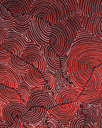 Aboriginal Artwork by Christine Nakamarra Curtis, Mina Mina Jukurrpa, 91x61cm
