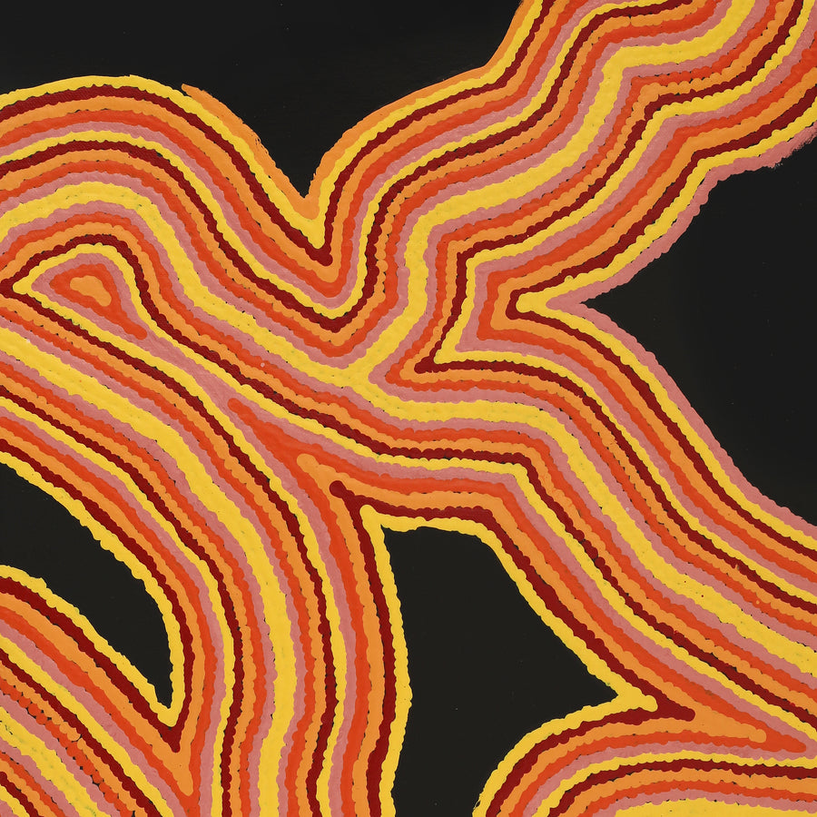 Aboriginal Artwork by Christine Dunnett, Walka, 61x30cm