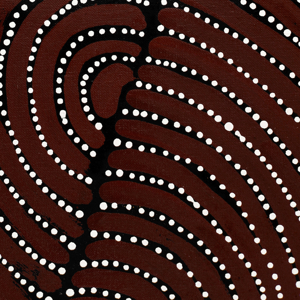 Aboriginal Art by Christine Nakamarra Curtis, Mina Mina Jukurrpa, 178x75cm - ART ARK®