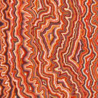 Aboriginal Art by Christine Nakamarra Curtis, Mina Mina Jukurrpa, 91x61cm - ART ARK®