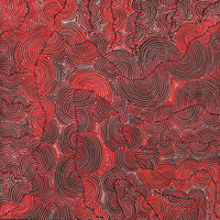 Aboriginal Artwork by Christine Nakamarra Curtis, Mina Mina Jukurrpa, 91x91cm