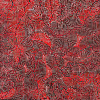 Aboriginal Artwork by Christine Nakamarra Curtis, Mina Mina Jukurrpa, 91x91cm