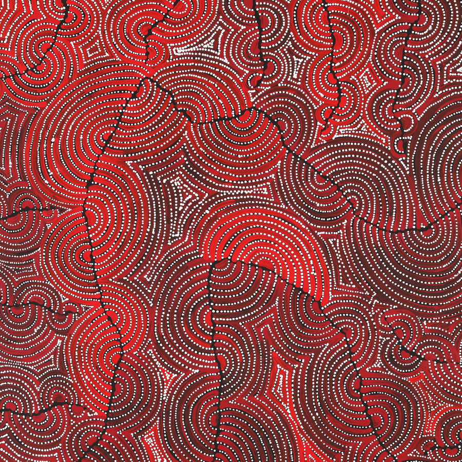 Aboriginal Artwork by Christine Nakamarra Curtis, Mina Mina Jukurrpa, 91x91cm